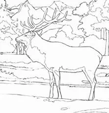 Mountains Coloring Pages 40