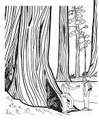Mountains Coloring Pages 48