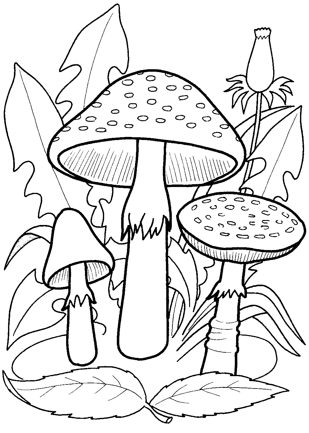 Mushroom Coloring Pages 101