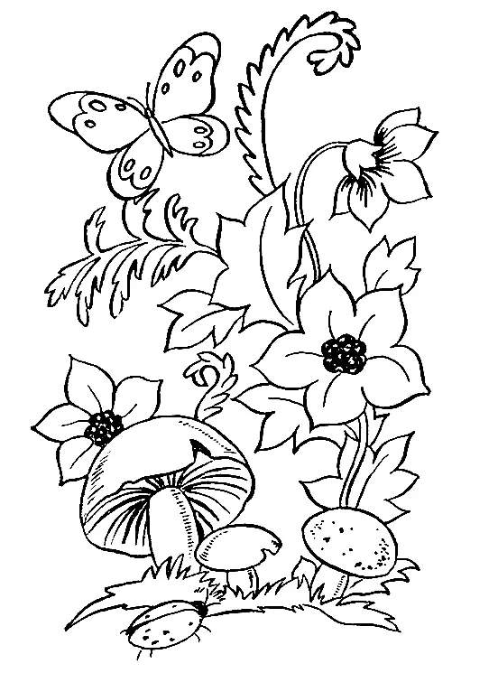Mushroom Coloring Pages 109