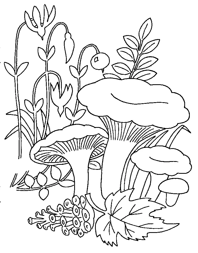 Mushroom Coloring Pages 120