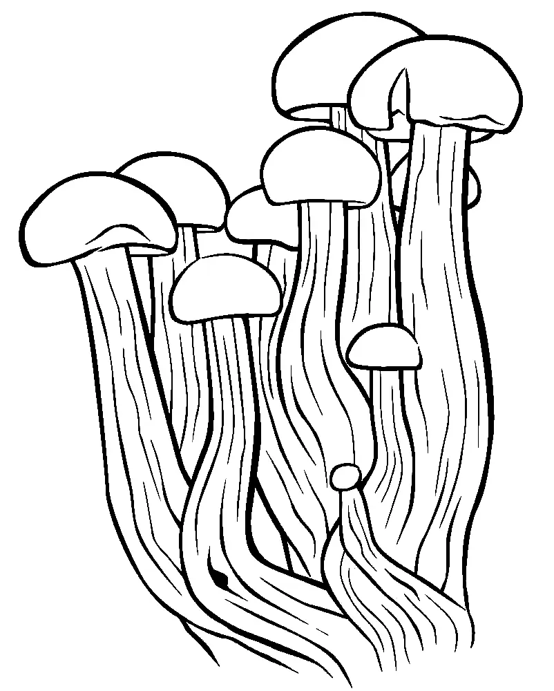 Mushroom Coloring Pages 130