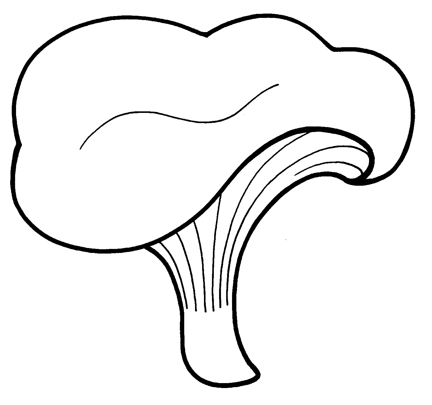 Mushroom Coloring Pages 135