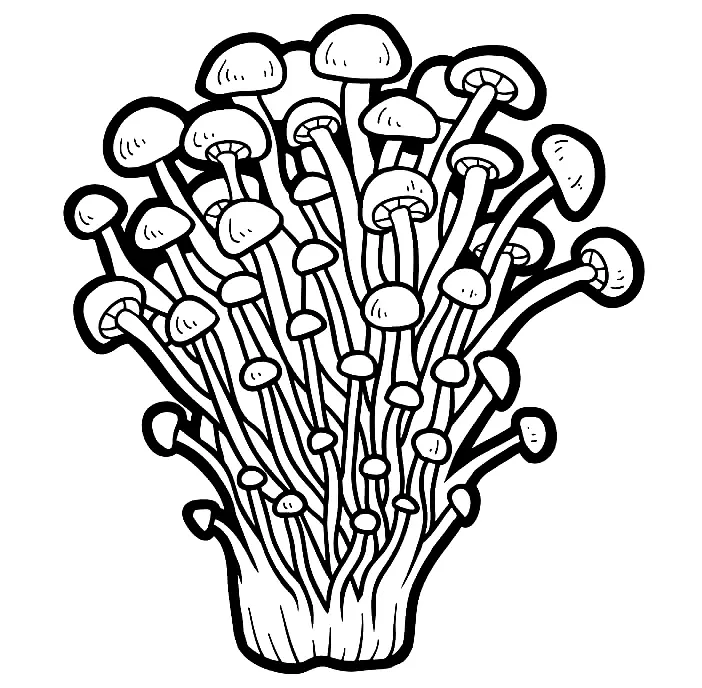 Mushroom Coloring Pages 143