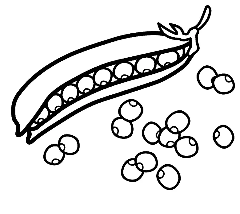 Mushroom Coloring Pages 15