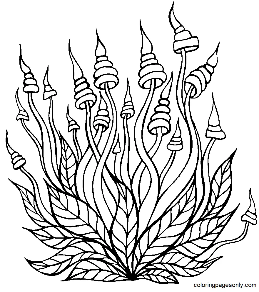Mushroom Coloring Pages 175