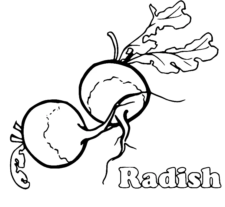 Mushroom Coloring Pages 44