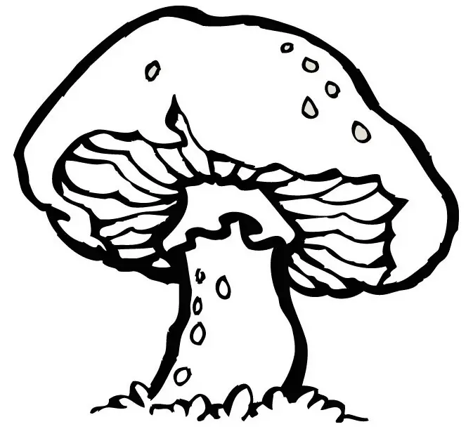 Mushroom Coloring Pages 61