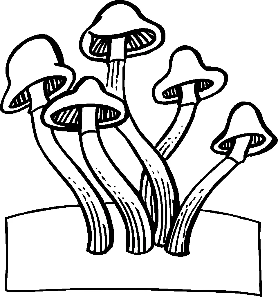 Mushroom Coloring Pages 62