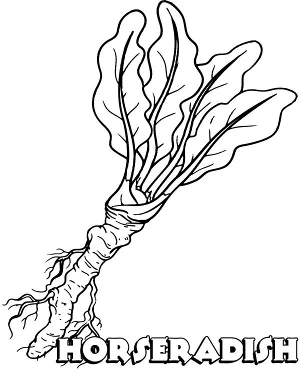 Mushroom Coloring Pages 73