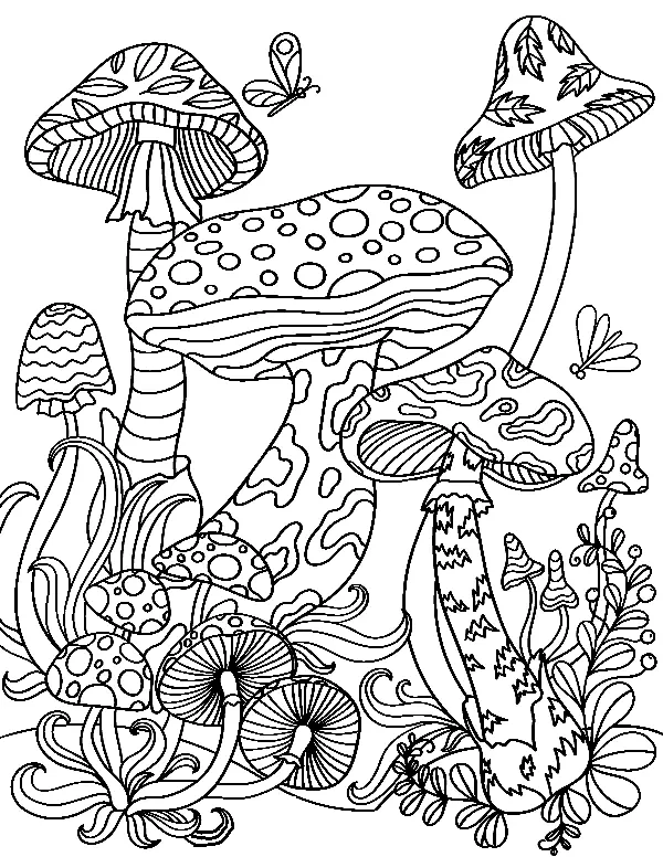 Mushroom Coloring Pages 97