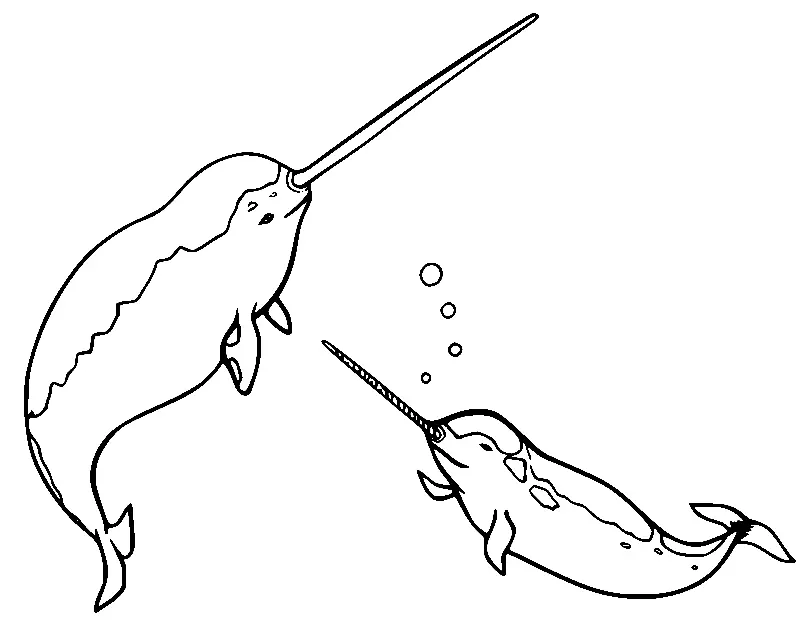 Narwhal Coloring Pages 36