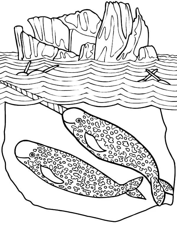 Narwhal Coloring Pages 42