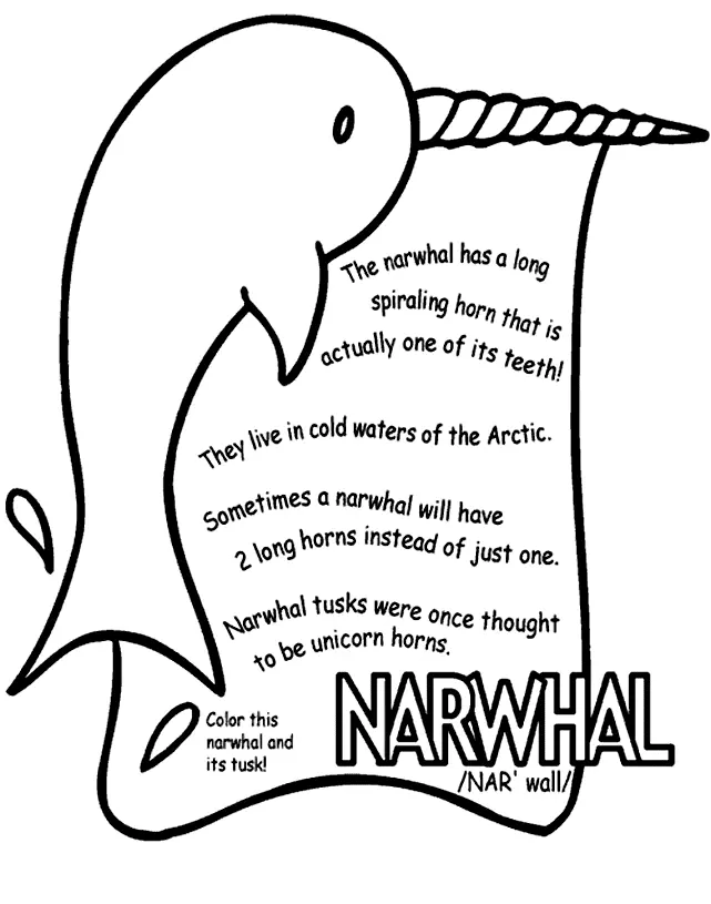 Narwhal Coloring Pages 45
