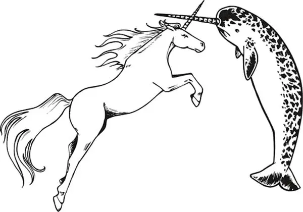 Narwhal Coloring Pages 8