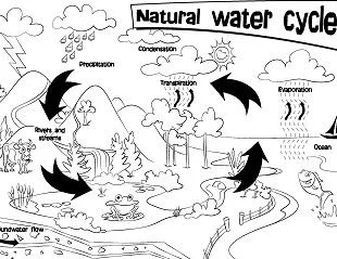 Natural phenomena Coloring Pages 10