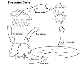 Natural phenomena Coloring Pages 24