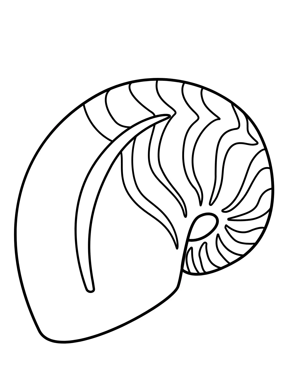Nautilus Coloring Pages 17