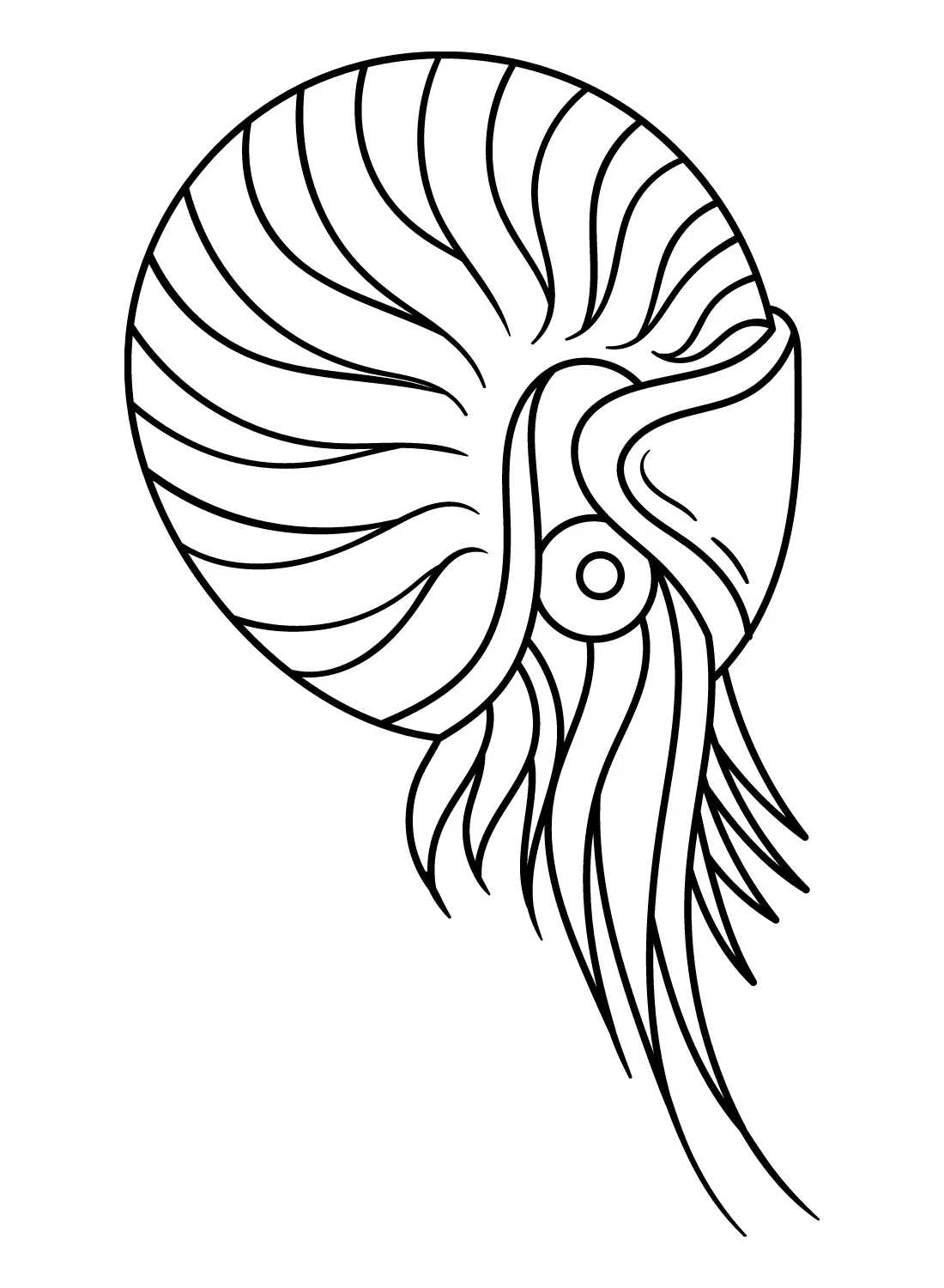Nautilus Coloring Pages 4