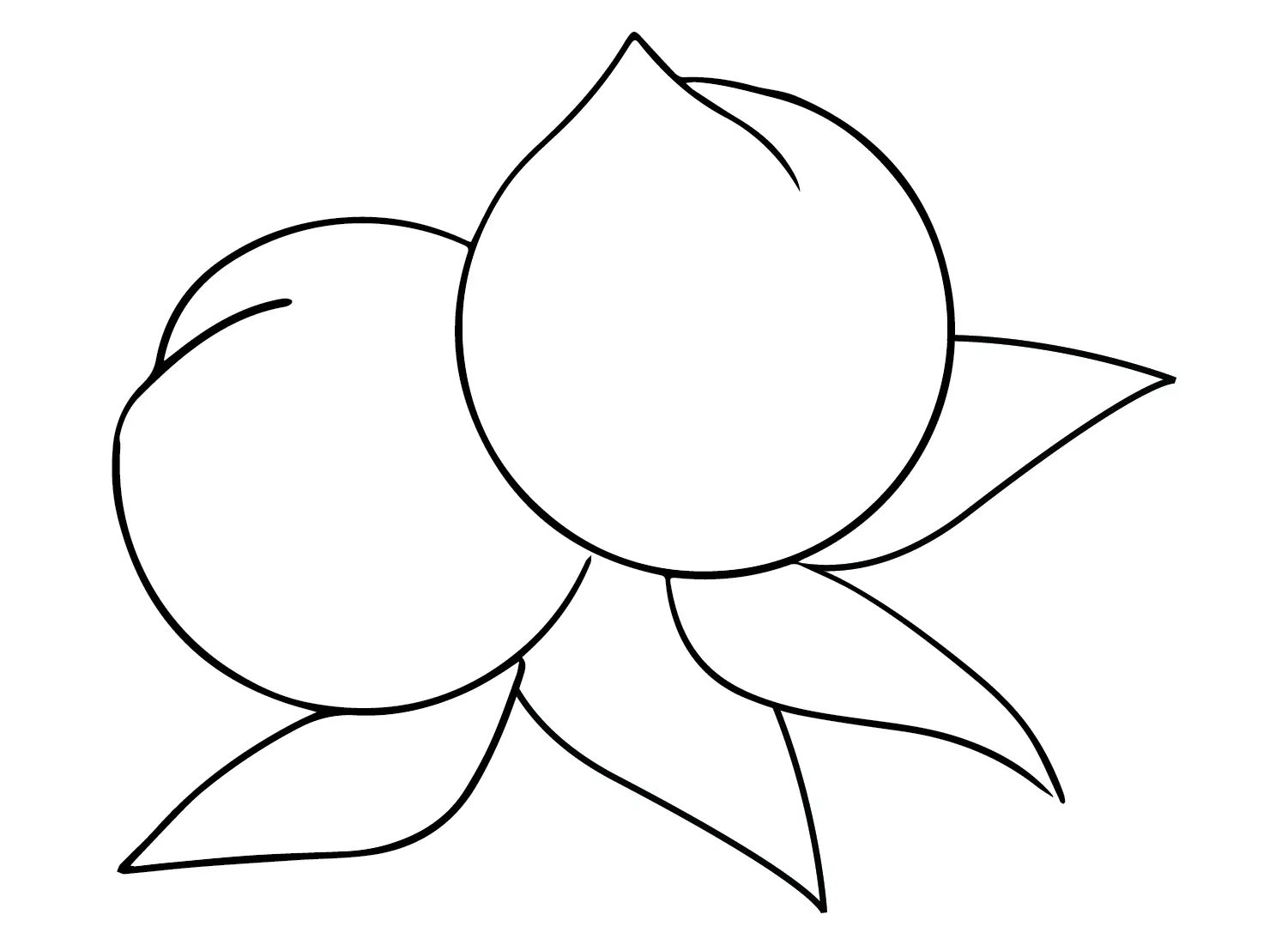 Nectarine Coloring Pages 9