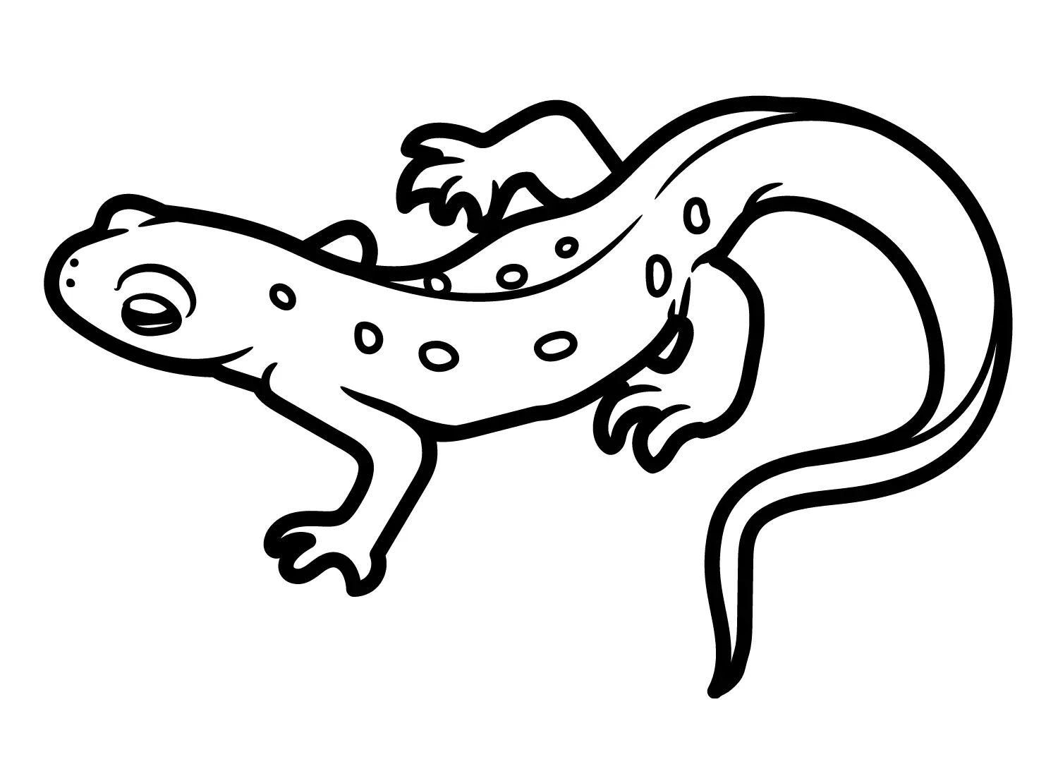 Desenhos de Newt Para Colorir 2