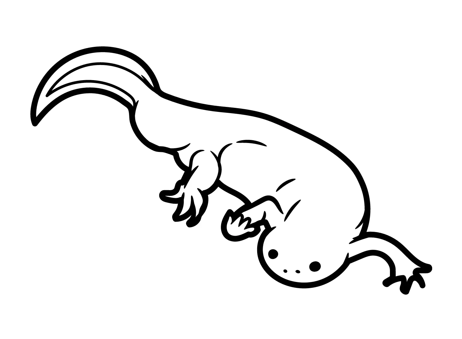Desenhos de Newt Para Colorir 6