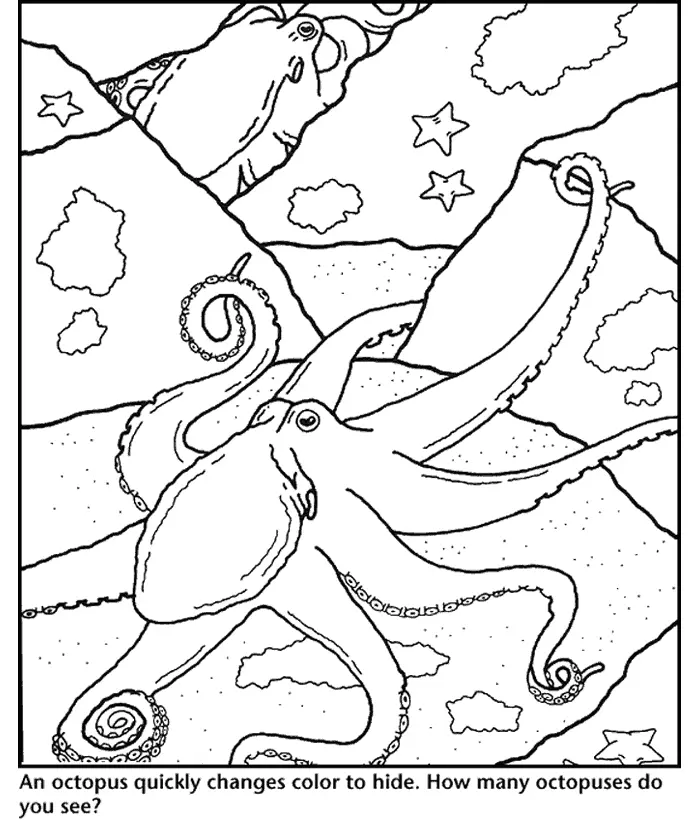 Octopus Coloring Pages 1