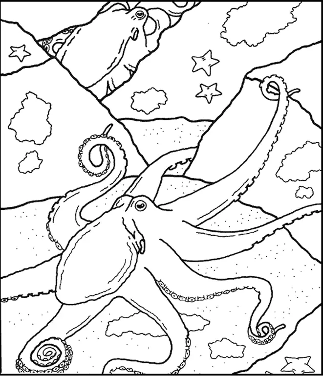 Octopus Coloring Pages 21