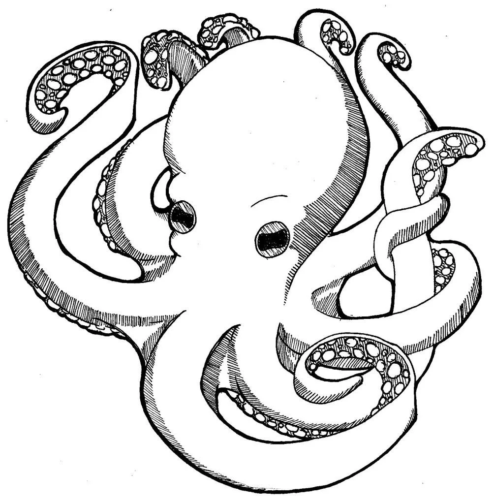 Octopus Coloring Pages 31