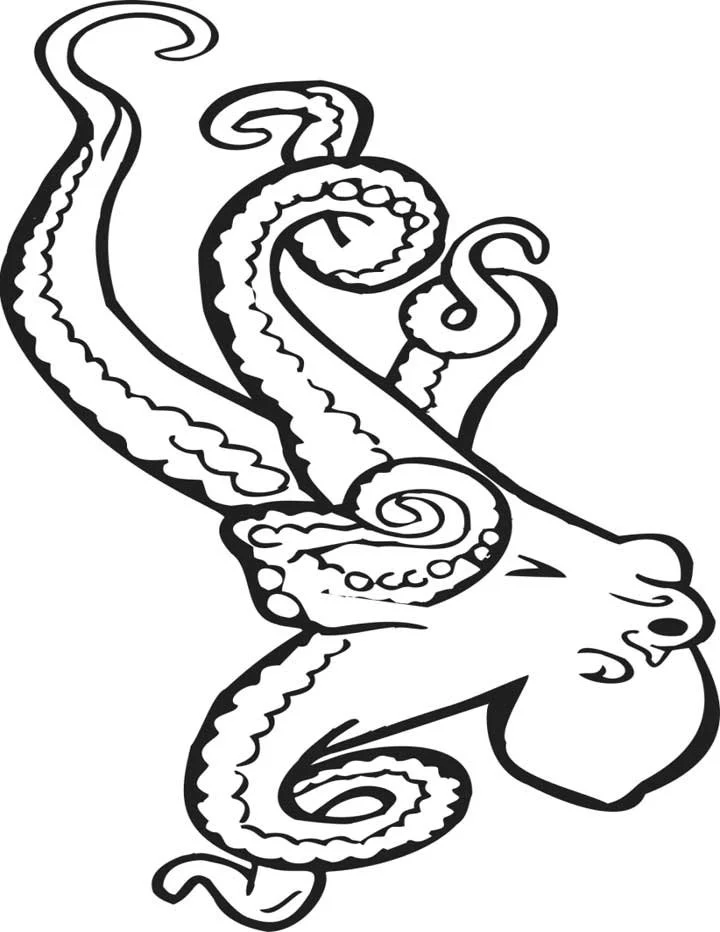 Octopus Coloring Pages 58