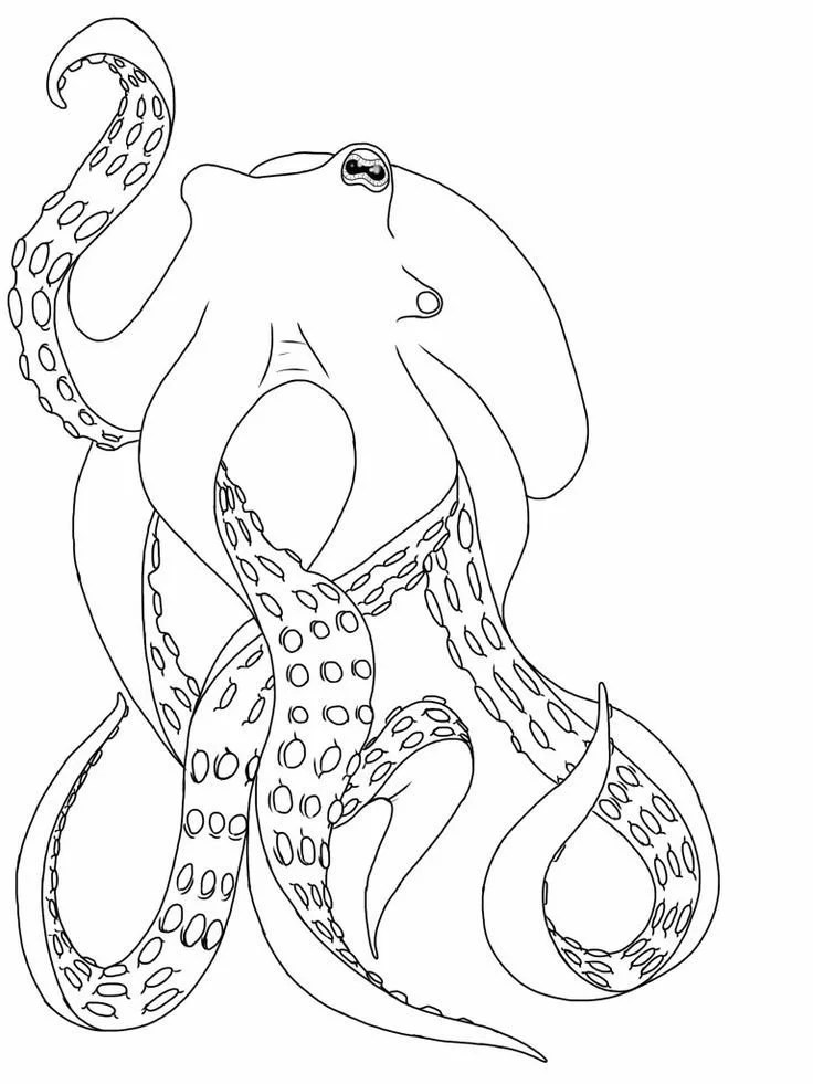 Octopus Coloring Pages