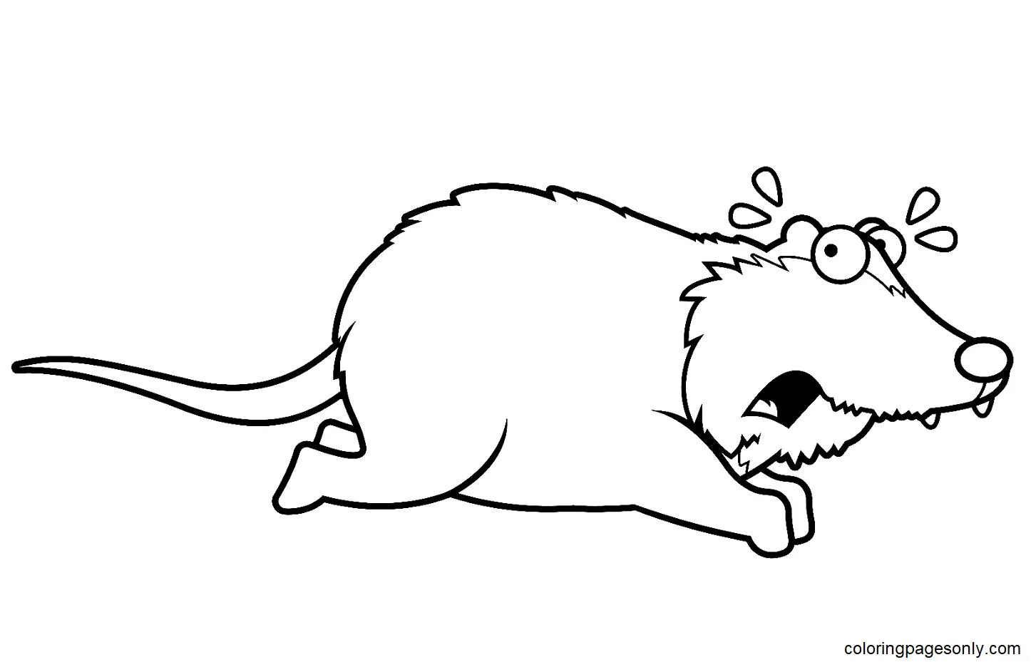 Desenhos de Gamba Para Colorir 30