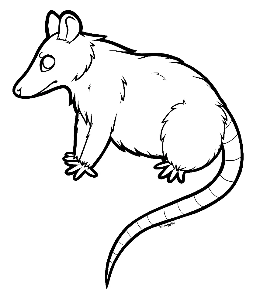 Desenhos de Gamba Para Colorir 36