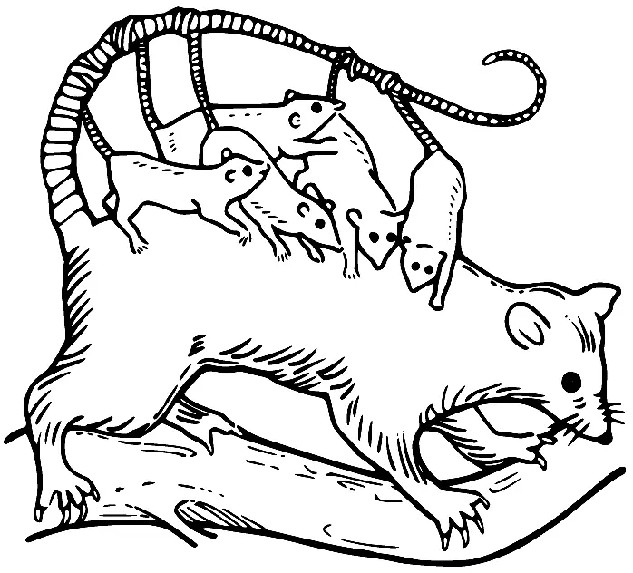 Desenhos de Gamba Para Colorir 25