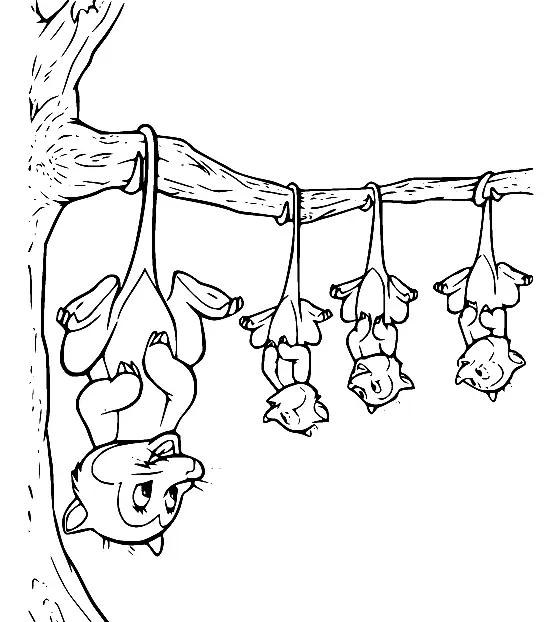 Desenhos de Gamba Para Colorir 28