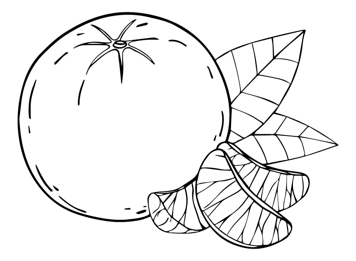 Oranges Coloring Pages 10