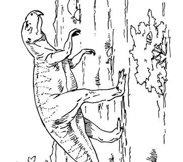 Ornithischian Dinosaurs Coloring Pages 11