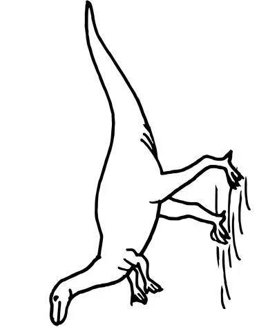 Ornithischian Dinosaurs Coloring Pages 12