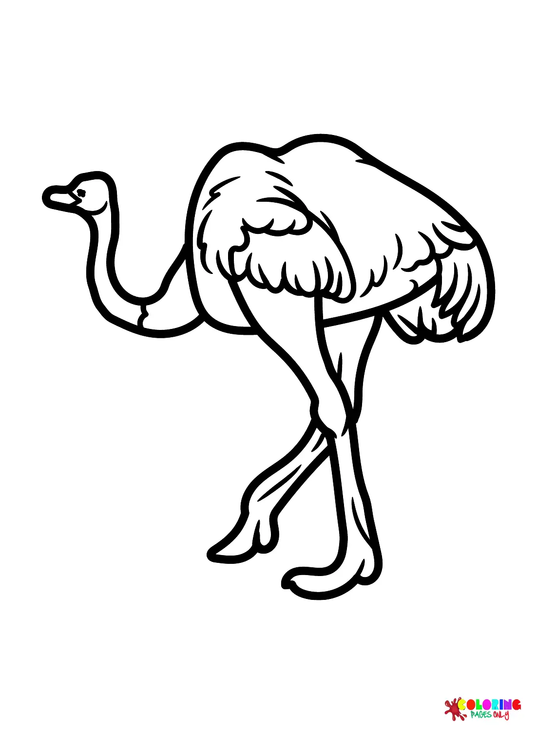 Avestruz Para Colorear 14
