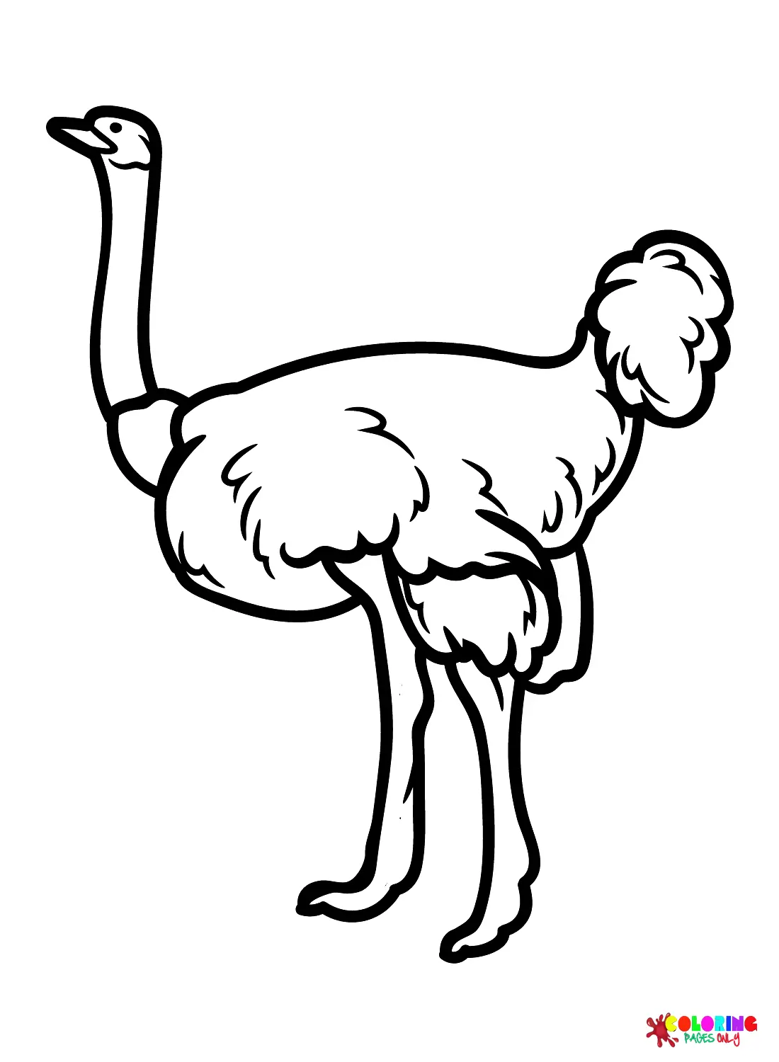 Avestruz Para Colorear 19