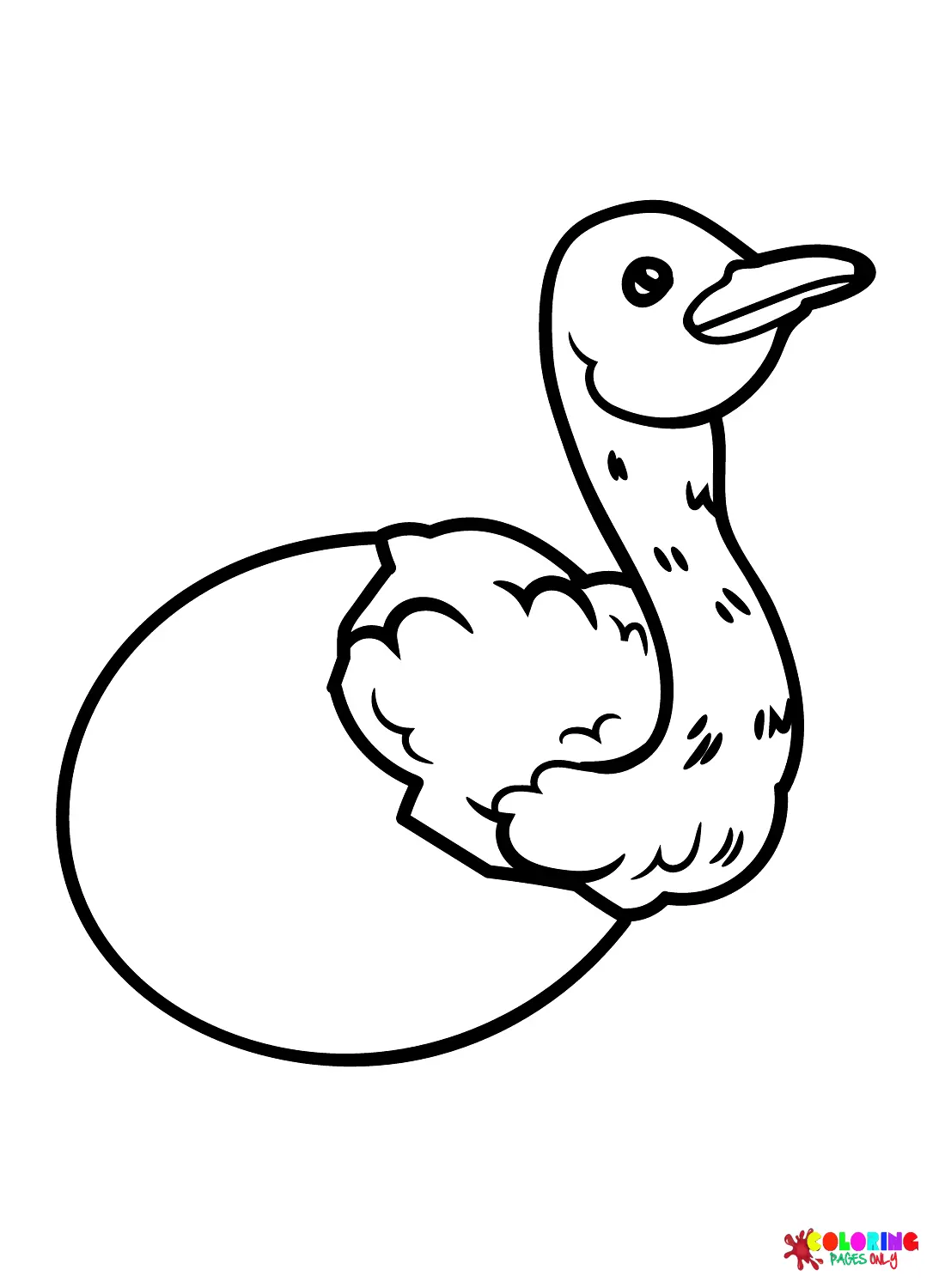 Avestruz Para Colorear 26