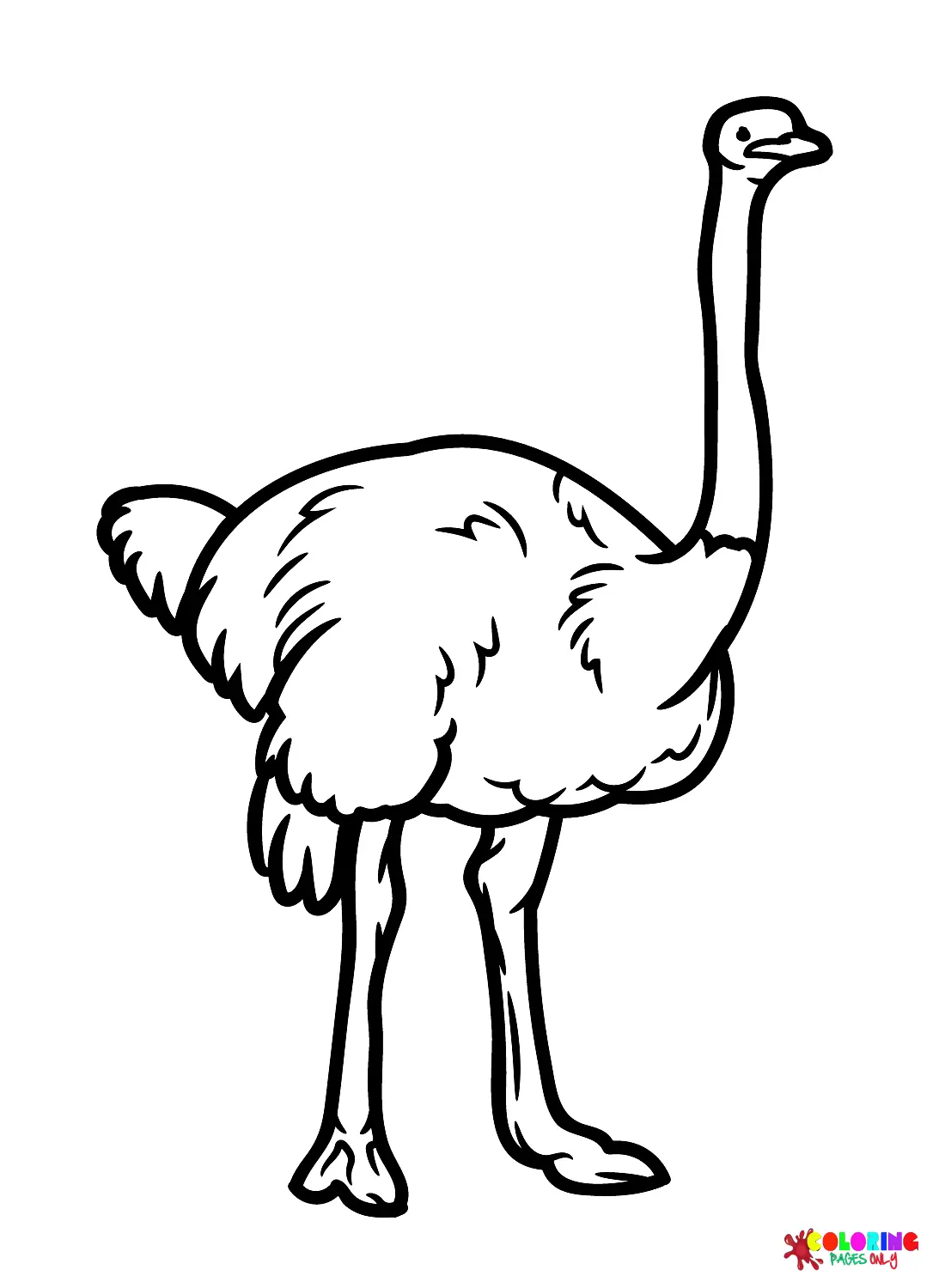 Avestruz Para Colorear 29