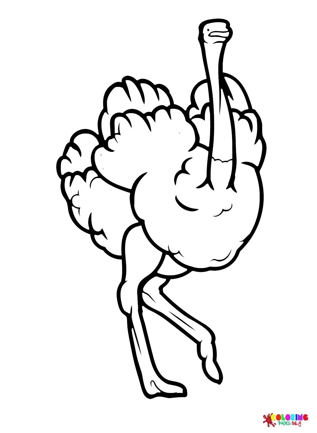 Avestruz Para Colorear 31