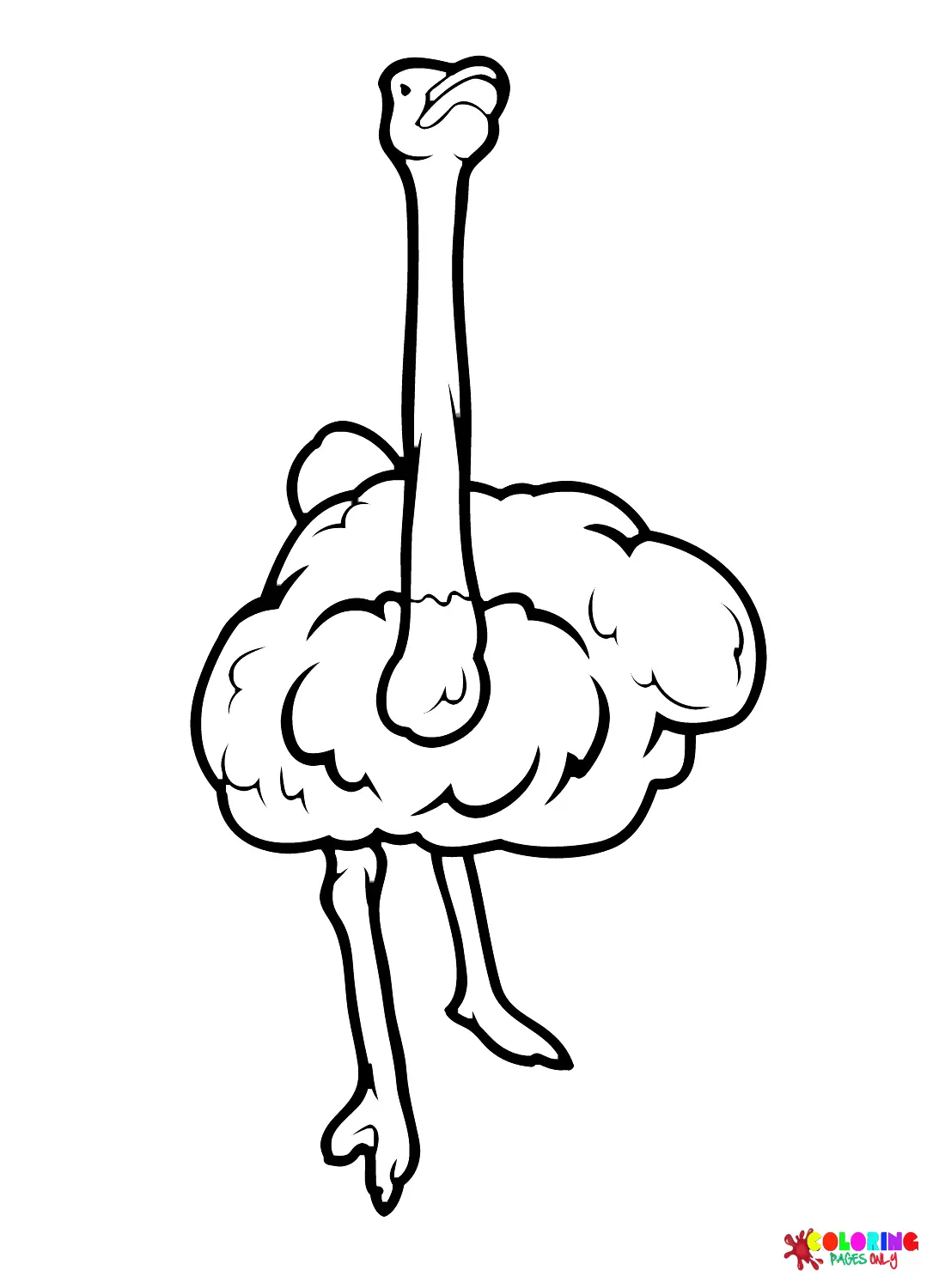 Avestruz Para Colorear 46