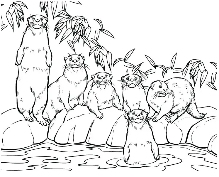 Otter Coloring Pages 23