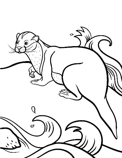Otter Coloring Pages 42