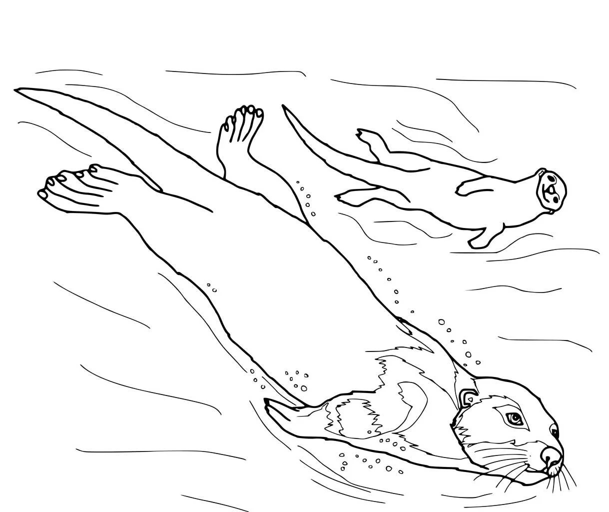 Otter Coloring Pages 5