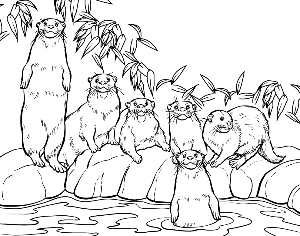 Otter Coloring Pages 79