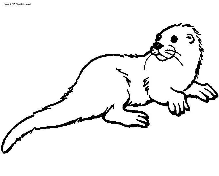 Otter Coloring Pages 92