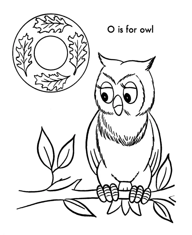 Owl Coloring Pages 41